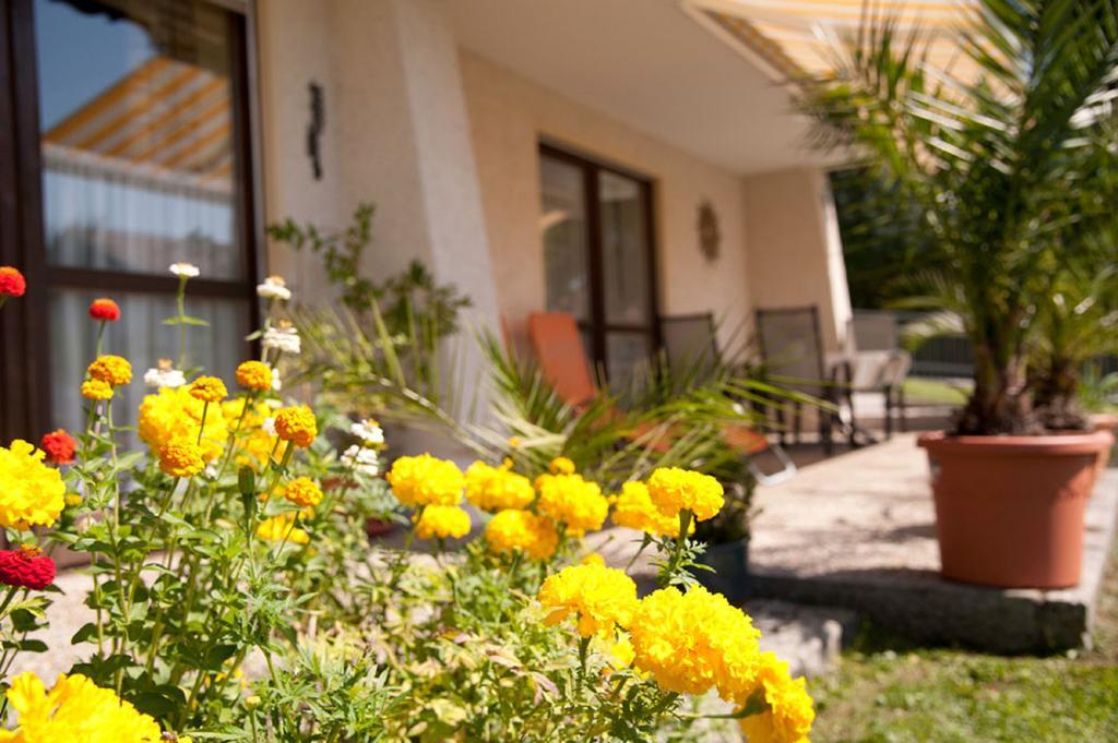 Ferienwohnung Voelkl Böbrach Exteriör bild